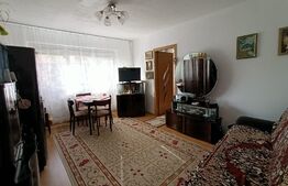 Apartament 2 camere, etaj intermediar, centrala, zona Girocului