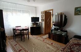 Apartament 2 camere, etaj intermediar, centrala, zona Girocului