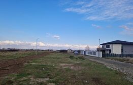 Teren intravilan, 780 mp, Mosnita Noua! Ocazie!