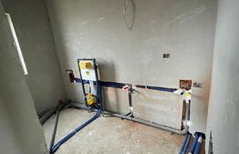 Casă individuală cu 4 camere și teren generos în Moșnița Nouă