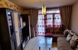 Apartament de 2 camere, la 5 minute de facultății, zona Elisabetin