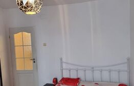 Apartament de 2 camere, la 5 minute de facultății, zona Elisabetin