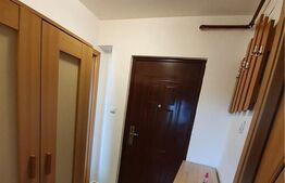 Apartament 1 camera, 26mp, zona Lipovei 