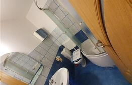 Apartament 1 camera, 26mp, zona Lipovei 