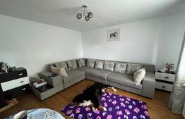 Casa individuala, 90 mp utili, 532 mp teren, Ciarda Rosie