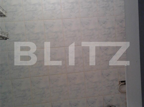 Garsonieră de închiriat Buziasului - 109514AI | BLITZ Timișoara | Poza4