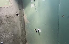 Casa individuala, 285 mp construiti, 500 mp teren, Remetea Mare!