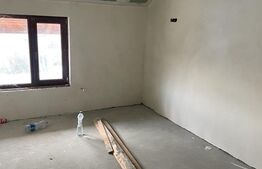 Casa individuala, 285 mp construiti, 500 mp teren, Remetea Mare!