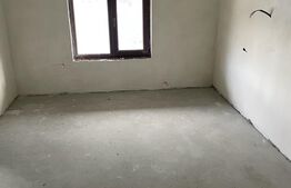 Casa individuala, 285 mp construiti, 500 mp teren, Remetea Mare!