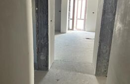 Casa individuala, 285 mp construiti, 500 mp teren, Remetea Mare!