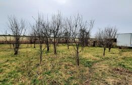 Teren intravilan, 1415 mp, in Mosnita Noua!