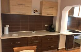 Apartament de 3 camere, cochet, zona Lipovei