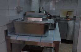 Afacere la cheie, Fast Food, 120 mp, Complexul Studentesc