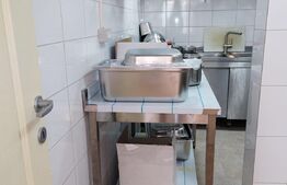 Afacere la cheie, Fast Food, 120 mp, Complexul Studentesc