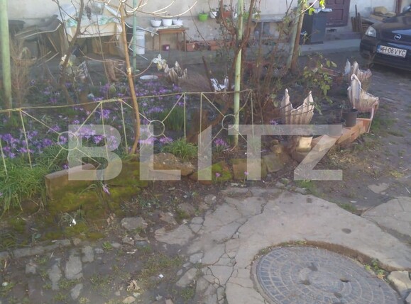 Casa de închiriat 9 camere Girocului - 109622CI | BLITZ Timișoara | Poza4