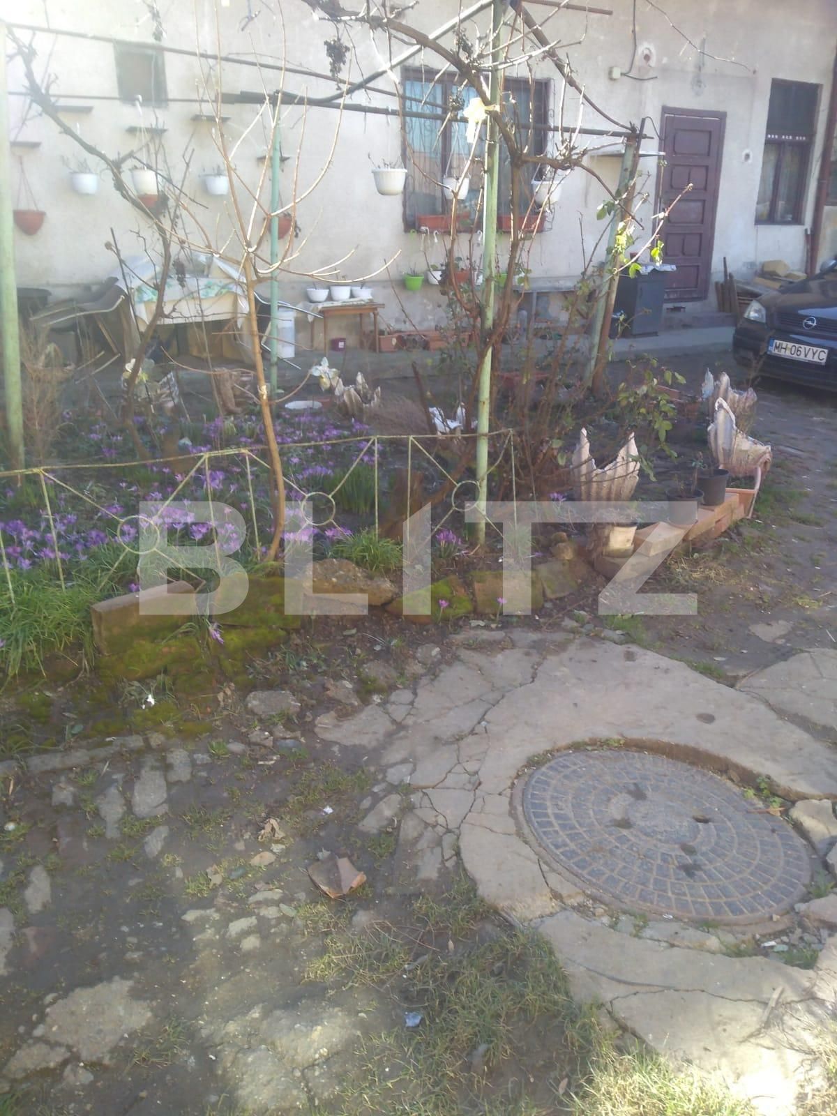 Casa de închiriat 9 camere Girocului - 109622CI | BLITZ Timișoara | Poza4