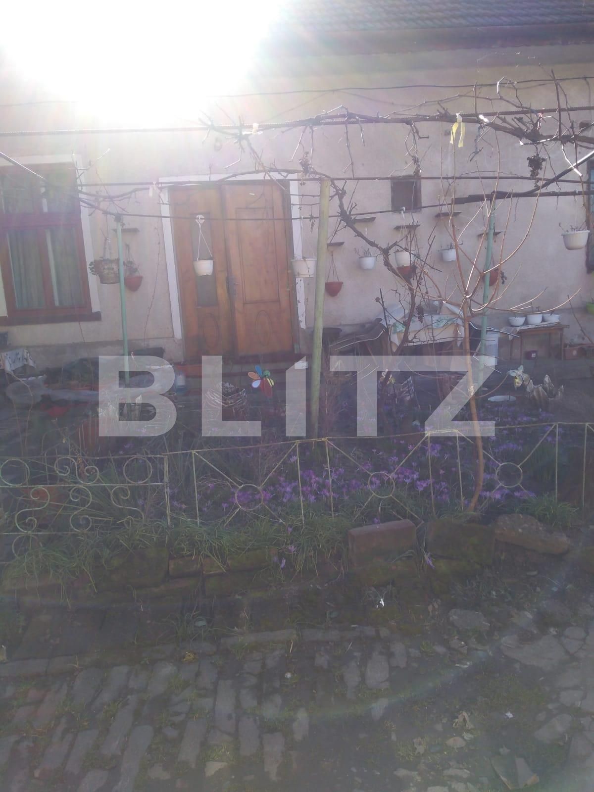 Casa de închiriat 9 camere Girocului - 109622CI | BLITZ Timișoara | Poza5