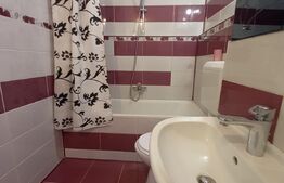 Apartament de 2 camere, 48 mp, la casa,  zona Iosefin