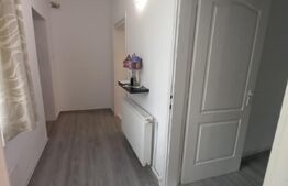 Apartament de 2 camere, 48 mp, la casa,  zona Iosefin