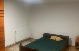 Apartament 2 camere, 50mp,zona Mehala 