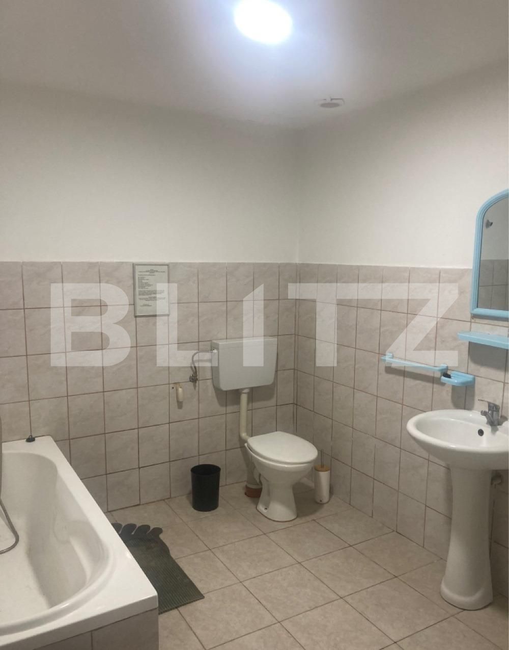 Apartament de închiriat 2 camere Mehala - 109801AI | BLITZ Timișoara | Poza9