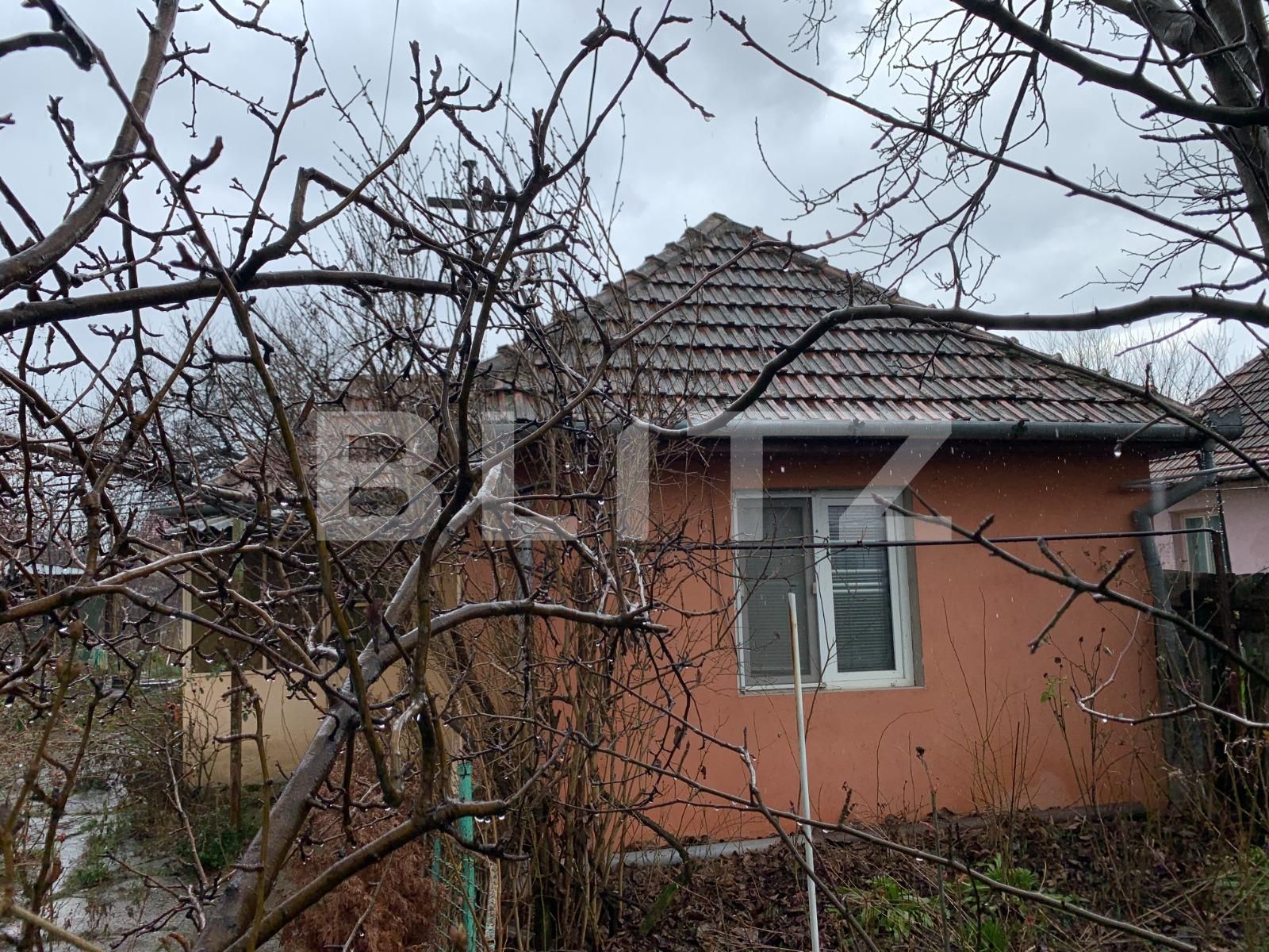 Casa de vânzare 2 camere Mircea cel Batran - 109813CV | BLITZ Timișoara | Poza2