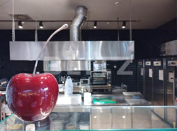 Spațiu comercial de vânzare Circumvalatiunii - 109902SVC | BLITZ Timișoara | Poza6