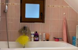 Casa de 3 camere P + M in zona Buziasului ( Ciarda Rosie )