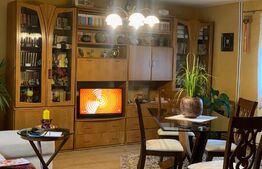 Casa de 3 camere P + M in zona Buziasului ( Ciarda Rosie )