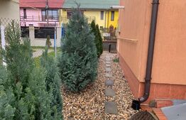 Casa de 3 camere P + M in zona Buziasului ( Ciarda Rosie )