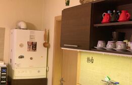 Casa de 3 camere P + M in zona Buziasului ( Ciarda Rosie )