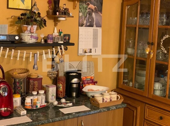 Casa de vânzare 3 camere Buziasului - 109944CV | BLITZ Timișoara | Poza10