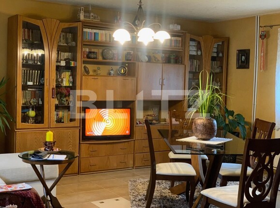 Casa de vânzare 3 camere Buziasului - 109944CV | BLITZ Timișoara | Poza14