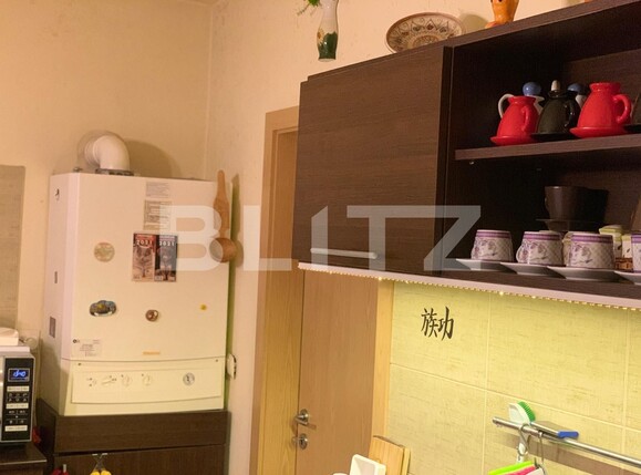 Casa de vânzare 3 camere Buziasului - 109944CV | BLITZ Timișoara | Poza11