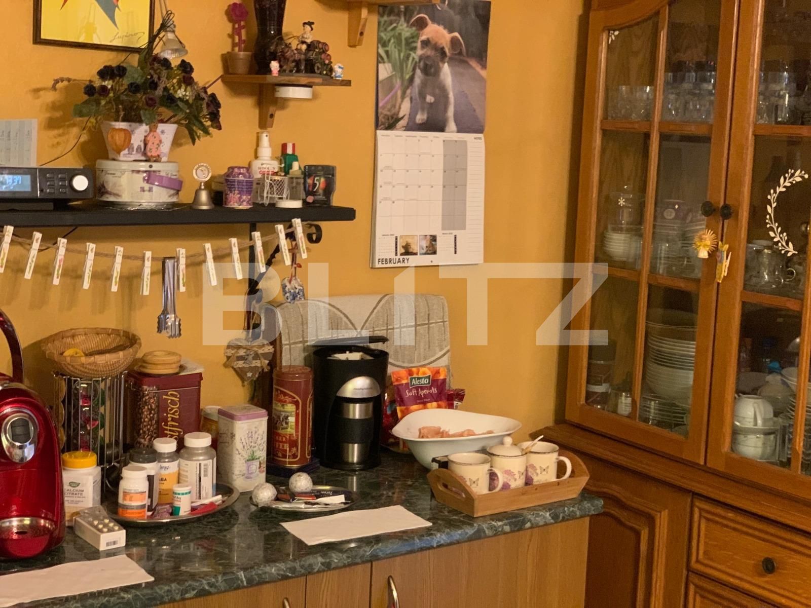 Casa de vânzare 3 camere Buziasului - 109944CV | BLITZ Timișoara | Poza10