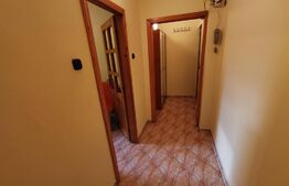 Apartament 2 camere, 50mp, zona Dambovita