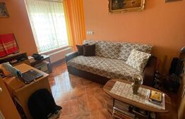 Apartament cu 1 cameră, 40 mp pe Calea Aradului