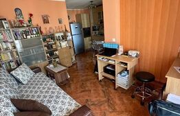 Apartament cu 1 cameră, 40 mp pe Calea Aradului