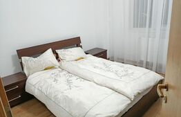 Apartament deosebit, 2 cam, nou amenajat, centrala proprie, zona Dacia