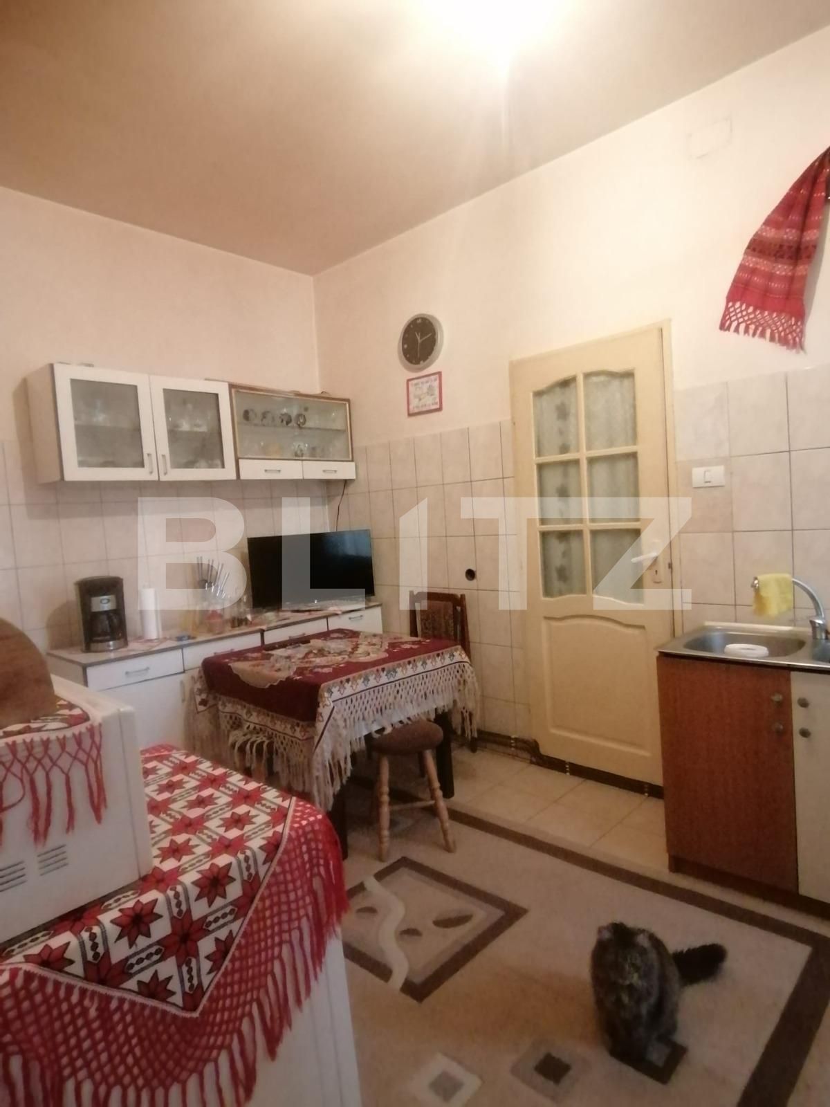 Apartament de vânzare 2 camere Iosefin - 110223AV | BLITZ Timișoara | Poza5