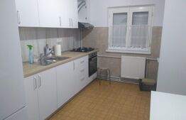 Apartament de 3 camere, pet-friendly, zona Aradului