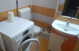 Apartament de 3 camere, pet-friendly, zona Aradului