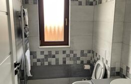 Duplex 126 mp utili, 341 mp teren, Dumbravita! Finisaje de lux!