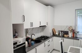 Apartament cu 2 camere, modern, în zona Braytim, Giroc