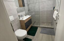 Ocazie! Apartament 114 mp+curte 238 mp în Dumbrăvița