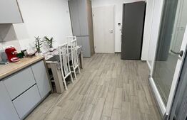 Ocazie! Apartament 114 mp+curte 238 mp în Dumbrăvița
