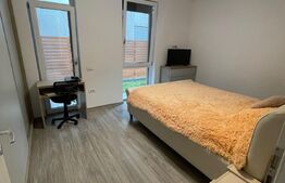 Ocazie! Apartament 114 mp+curte 238 mp în Dumbrăvița