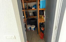 Ocazie! Apartament 114 mp+curte 238 mp în Dumbrăvița