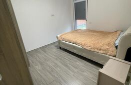 Ocazie! Apartament 114 mp+curte 238 mp în Dumbrăvița
