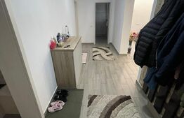 Ocazie! Apartament 114 mp+curte 238 mp în Dumbrăvița